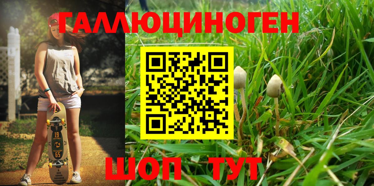 Галлюциногенные грибы MAGIC MUSHROOMS  Вход с VPN  купить наркоту  Нижнекамск  Галлюциногенные грибы Cubensis 