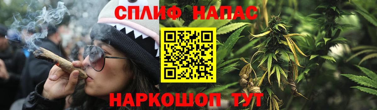 Шишки марихуана Bruce Banner  Бошки марихуана семена  Нижнекамск  Вход с VPN  Каннабис планчик 